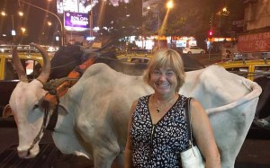 This photo of my with the water buffalo walking down a busy street in Mumbai is one of my favorite photos from my whole trip