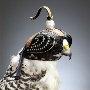 Close-up of a falcon wearing a leather hood on its head. The hood calms the falcon.